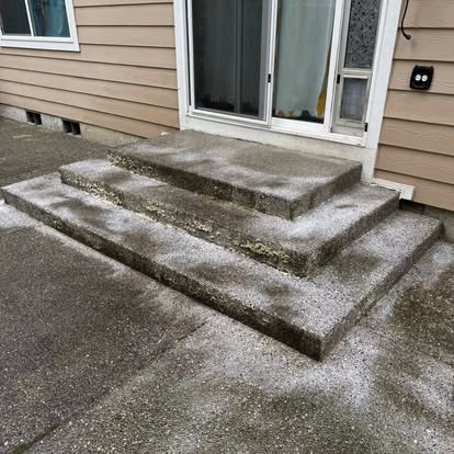Steps before cleaning – moss covered